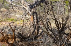 P1040704ce.JPG P1040704ce.JPG