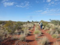 P1040707e.JPG P1040707e.JPG