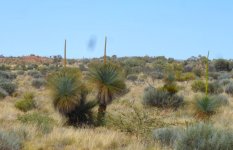 P1040709ec.JPG P1040709ec.JPG