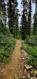 20240730_094123_copy_349x747.jpg 20240730_094123_copy_349x747.jpg