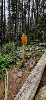 20240730_095351_copy_349x747.jpg 20240730_095351_copy_349x747.jpg