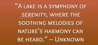 Screenshot_20240809_073906_Gallery_copy_1600x746.jpg Screenshot_20240809_073906_Gallery_copy_1600x746.jpg