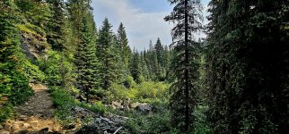 20240730_102817_copy_1600x747.jpg 20240730_102817_copy_1600x747.jpg