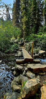 20240730_103305_copy_349x747.jpg 20240730_103305_copy_349x747.jpg