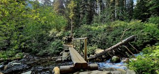 20240730_103255_copy_1600x747.jpg 20240730_103255_copy_1600x747.jpg