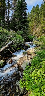 20240730_103332_copy_349x747.jpg 20240730_103332_copy_349x747.jpg