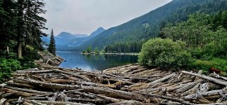 20240730_112153_copy_1600x747.jpg 20240730_112153_copy_1600x747.jpg