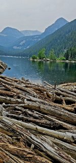 20240730_112142_copy_349x747.jpg 20240730_112142_copy_349x747.jpg