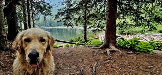 20240730_112356_copy_1600x747.jpg 20240730_112356_copy_1600x747.jpg