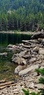 20240730_111641_copy_349x747.jpg 20240730_111641_copy_349x747.jpg