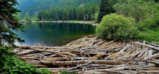 20240730_112049_copy_1600x747.jpg 20240730_112049_copy_1600x747.jpg