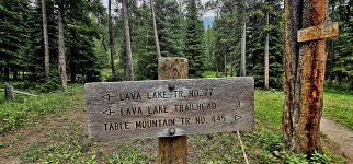 20240730_113216_copy_1600x747.jpg 20240730_113216_copy_1600x747.jpg