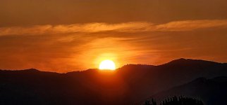 20240803_064054_copy_1600x747.jpg 20240803_064054_copy_1600x747.jpg