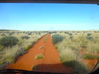 P1040738e spinifex.JPG P1040738e spinifex.JPG