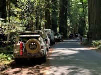 AP1GczMUuLg7_DnKnjvXVZEoipJshJbc (1).jpg