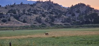 20240809_061443_copy_1200x560.jpg 20240809_061443_copy_1200x560.jpg