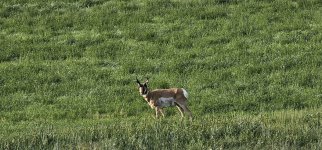 20240809_080400_copy_1200x560.jpg 20240809_080400_copy_1200x560.jpg