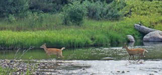 20240809_101436_copy_1200x560.jpg 20240809_101436_copy_1200x560.jpg