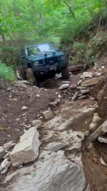 Screen Shot 2024-08-18 at 7.40.42 AM.png