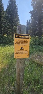 20240809_140349_copy_349x747.jpg 20240809_140349_copy_349x747.jpg