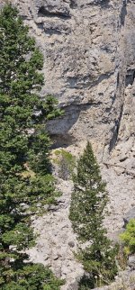 20240809_141745_copy_349x747.jpg 20240809_141745_copy_349x747.jpg