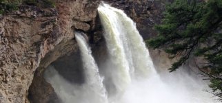 Screenshot_20240818_140857_Gallery_copy_1600x746.jpg Screenshot_20240818_140857_Gallery_copy_1600x746.jpg