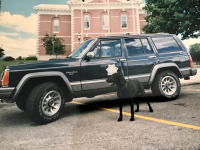 IMG_7252.png IMG_7252.png