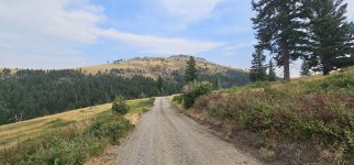 20240809_172951_copy_1600x747.jpg 20240809_172951_copy_1600x747.jpg