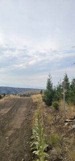 20240810_190327_copy_1200x2570.jpg 20240810_190327_copy_1200x2570.jpg