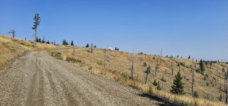 20240810_100127_copy_1600x747.jpg 20240810_100127_copy_1600x747.jpg