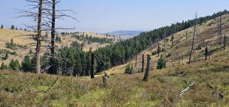 20240810_102359_copy_1600x747.jpg 20240810_102359_copy_1600x747.jpg