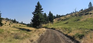 20240810_101729_copy_1600x747.jpg 20240810_101729_copy_1600x747.jpg