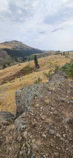 20240810_160545_copy_1200x2570.jpg 20240810_160545_copy_1200x2570.jpg