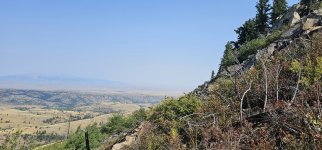 20240810_105811_copy_1600x747.jpg 20240810_105811_copy_1600x747.jpg