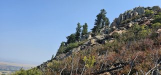 20240810_105804_copy_1600x747.jpg 20240810_105804_copy_1600x747.jpg