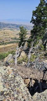 20240810_110312_copy_349x747.jpg 20240810_110312_copy_349x747.jpg