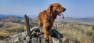 20240810_111536_copy_1600x747.jpg 20240810_111536_copy_1600x747.jpg