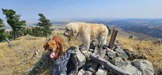 20240810_112009_copy_1600x747.jpg 20240810_112009_copy_1600x747.jpg