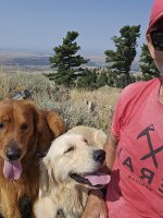 20240810_112612_copy_1200x1600.jpg 20240810_112612_copy_1200x1600.jpg