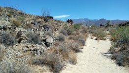 IMG_20240824_112121334 copy.jpg IMG_20240824_112121334 copy.jpg