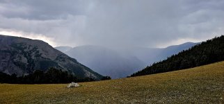 20240812_143525_copy_1200x560.jpg 20240812_143525_copy_1200x560.jpg