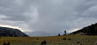 20240812_143420_copy_1200x560.jpg 20240812_143420_copy_1200x560.jpg