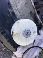 IMG_1147.jpeg IMG_1147.jpeg