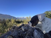 IMG_1144.jpeg IMG_1144.jpeg