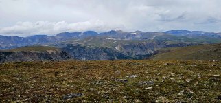 20240813_131018_copy_1600x747.jpg 20240813_131018_copy_1600x747.jpg