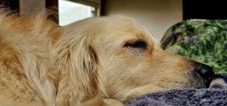 20240813_153332_copy_1600x747.jpg 20240813_153332_copy_1600x747.jpg