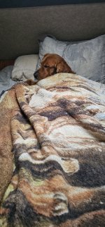 20240813_193650_copy_349x747.jpg 20240813_193650_copy_349x747.jpg