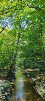 20240904_130132.jpg 20240904_130132.jpg