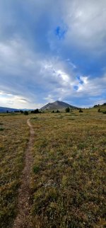 20240814_080854_copy_349x747.jpg 20240814_080854_copy_349x747.jpg