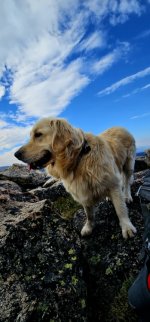 20240814_091351_copy_349x747.jpg 20240814_091351_copy_349x747.jpg